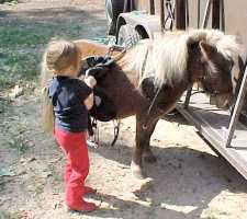 Little America's Teddy Blue 